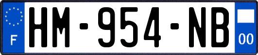 HM-954-NB