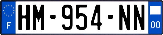 HM-954-NN