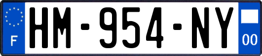HM-954-NY