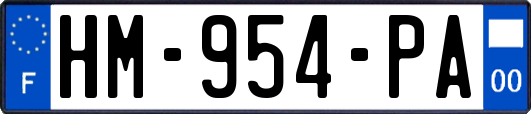 HM-954-PA