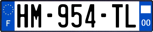 HM-954-TL