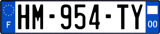 HM-954-TY