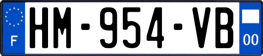 HM-954-VB