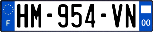 HM-954-VN