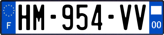 HM-954-VV