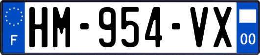 HM-954-VX