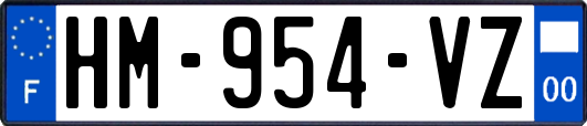 HM-954-VZ