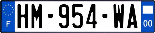 HM-954-WA
