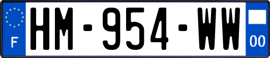 HM-954-WW