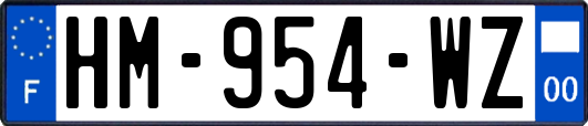 HM-954-WZ