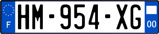 HM-954-XG