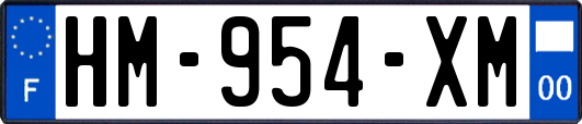 HM-954-XM
