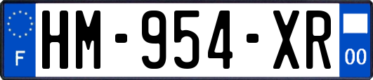 HM-954-XR
