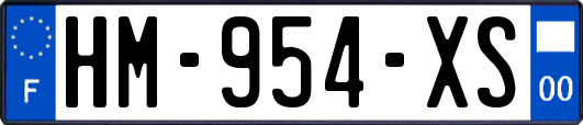 HM-954-XS