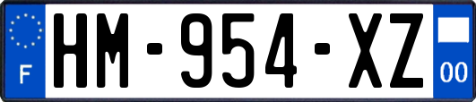 HM-954-XZ