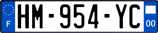 HM-954-YC