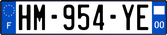 HM-954-YE
