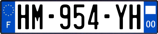 HM-954-YH