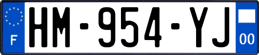 HM-954-YJ