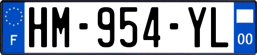 HM-954-YL