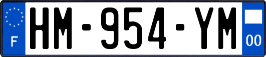 HM-954-YM