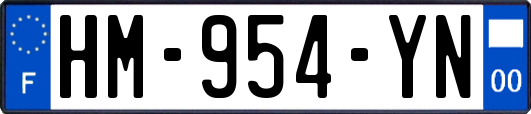 HM-954-YN