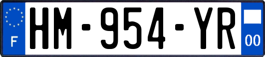 HM-954-YR