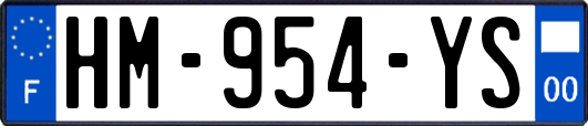 HM-954-YS