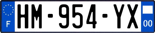 HM-954-YX