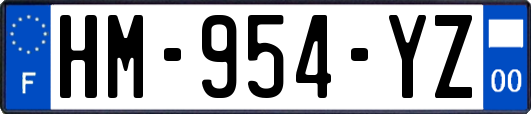 HM-954-YZ