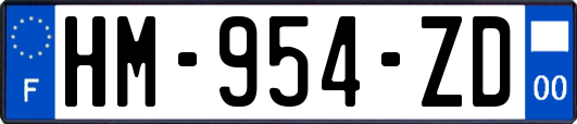 HM-954-ZD