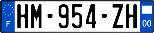 HM-954-ZH