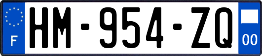 HM-954-ZQ