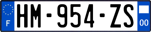 HM-954-ZS