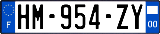 HM-954-ZY