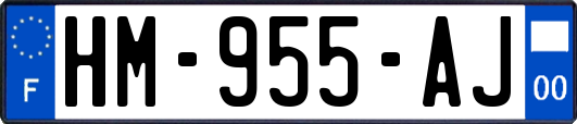 HM-955-AJ