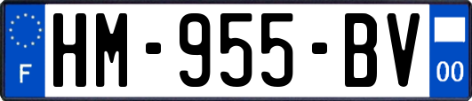 HM-955-BV