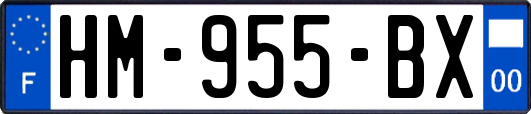 HM-955-BX