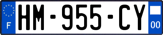 HM-955-CY