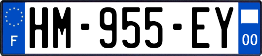 HM-955-EY