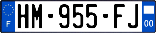 HM-955-FJ