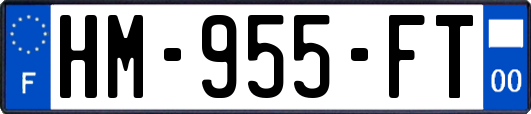 HM-955-FT