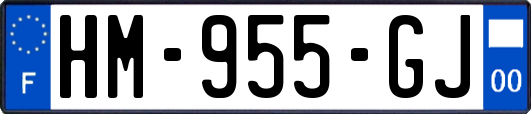HM-955-GJ