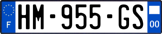 HM-955-GS