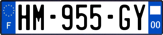 HM-955-GY