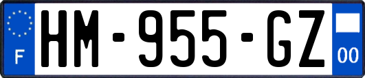 HM-955-GZ