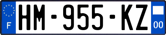 HM-955-KZ
