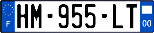 HM-955-LT