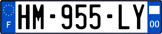HM-955-LY