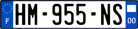 HM-955-NS